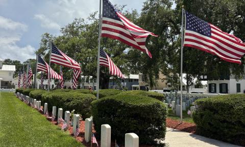 American flags flying and placed on graves