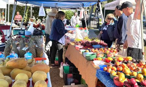 The Ponte Vedra Beach Farmers Market