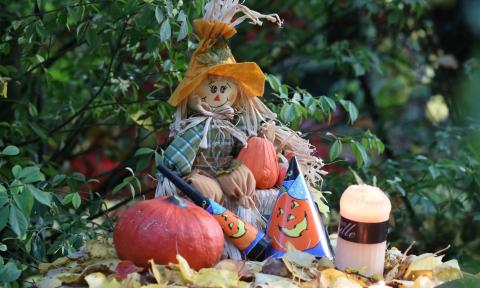 A garden display for Halloween with a scarecrow sittin on a small pile of pumpkins