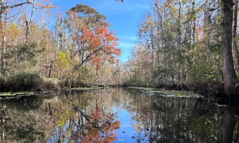 Durbin Creek during late autumn on a blue sky day