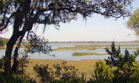 The view of the Moultrie Basin
