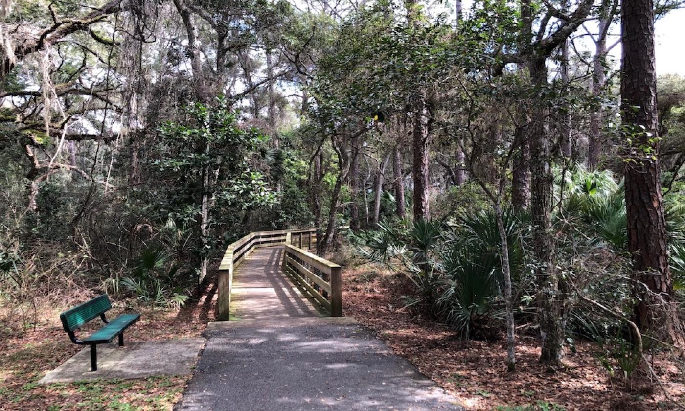 Canopy Shores Park Trail