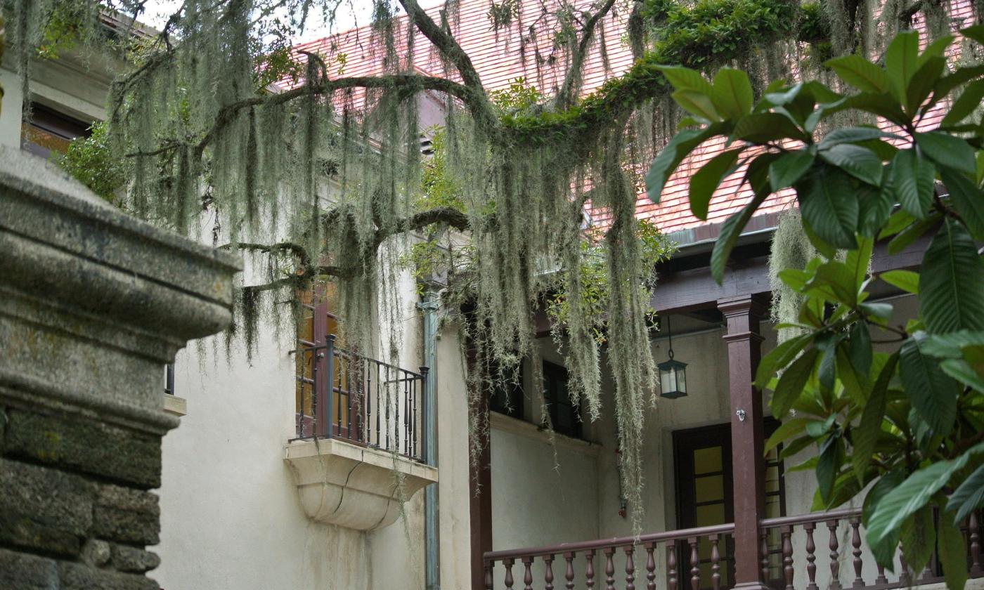 The Government House at the top of the Plaza on St. George Street in St. Augustine.