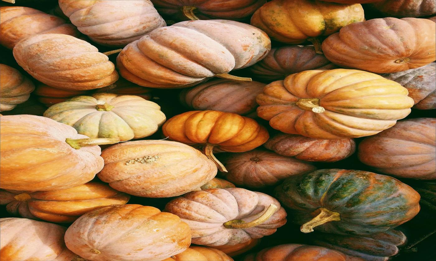 A group of pumpkins