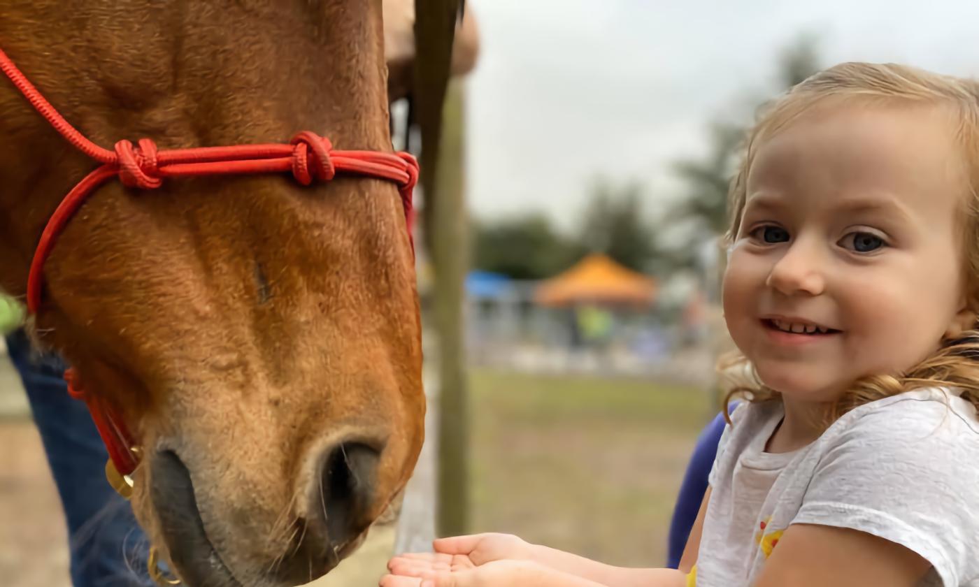 The head of a horse with a red halter, nuzzling the hands of a young girl over the fence