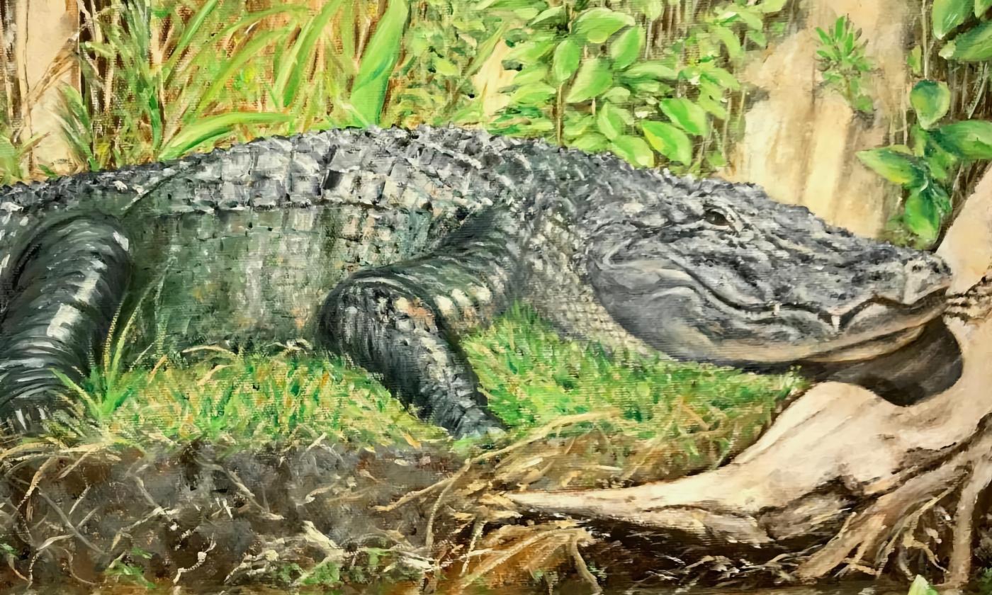 A painting by Marilyn Terry of an alligator in it's natural environment in Florida