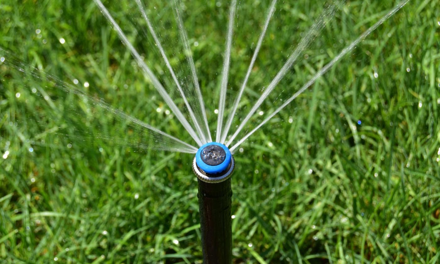 Sprinkler and grass