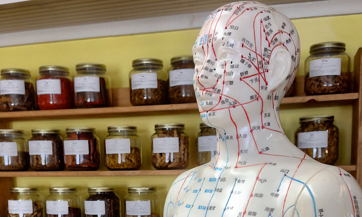 A full color image of an acupunture mannequin in front of several shelves of jars.