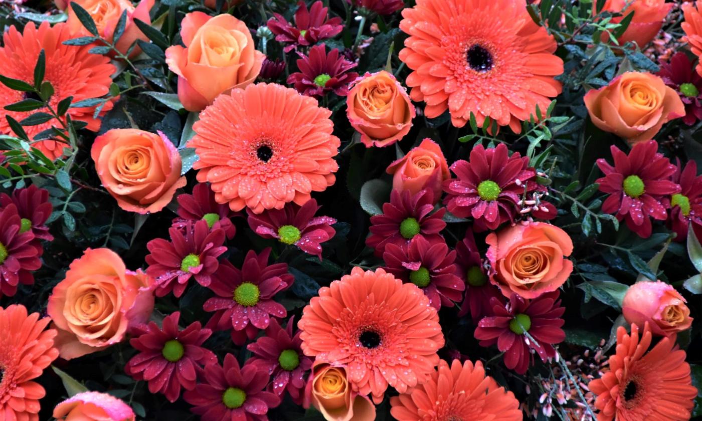 A bed of colorful spring flowers is positioned in front of the camera.