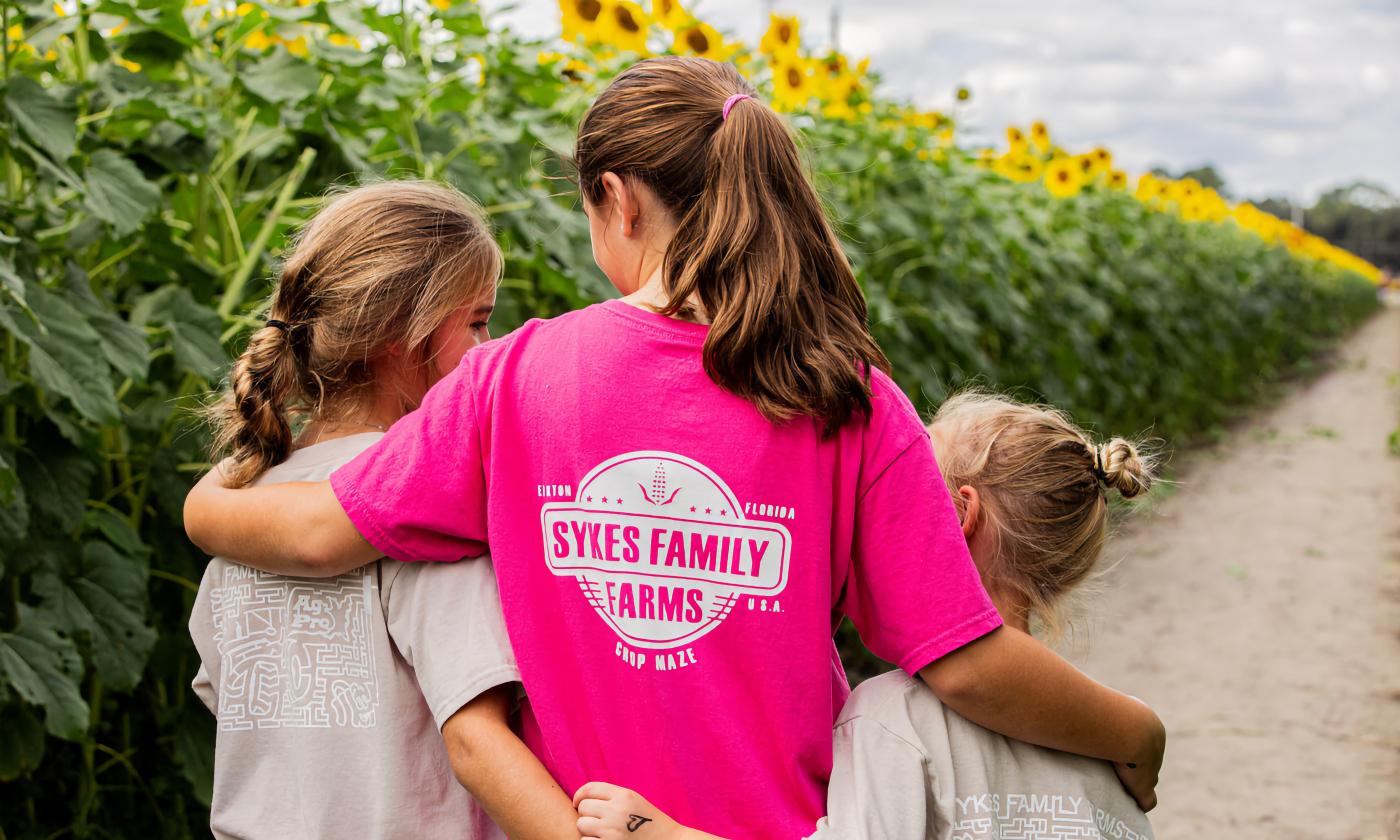 A family of three walks among the tall, bright sunflowers at Sykes Family Farm in the fall