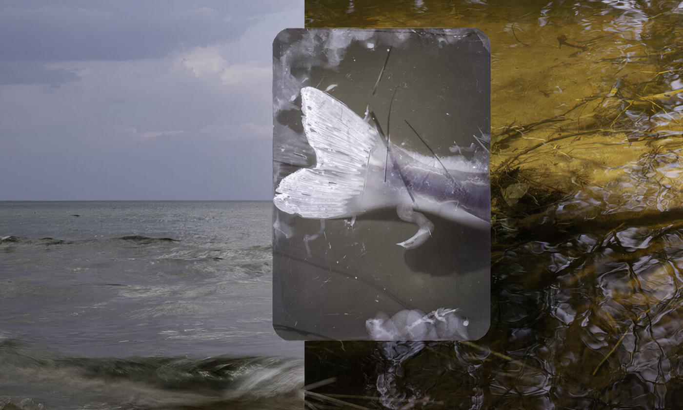 A sample section of art created by Dawn Roe for her "Descent — An Atlas of Relation" exhibit