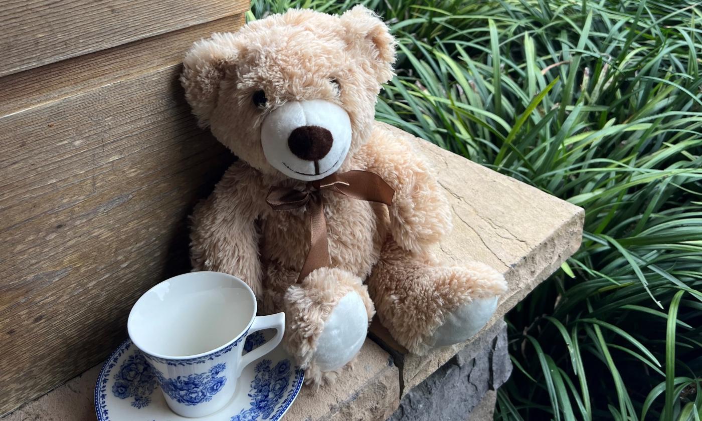 The teddy bear that comes with the purchase of a ticket