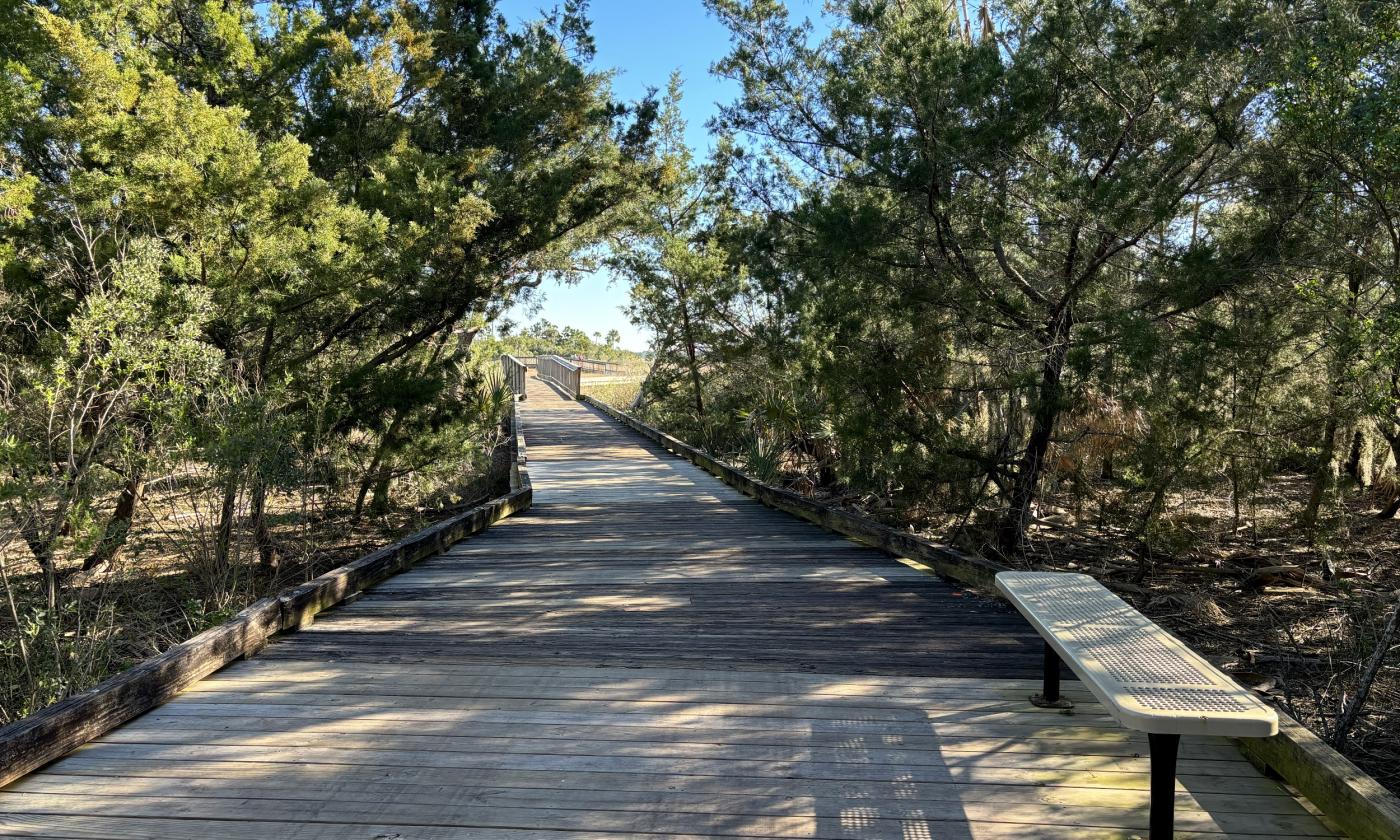 There are benches all along the boardwalk for visitors to sit and rest