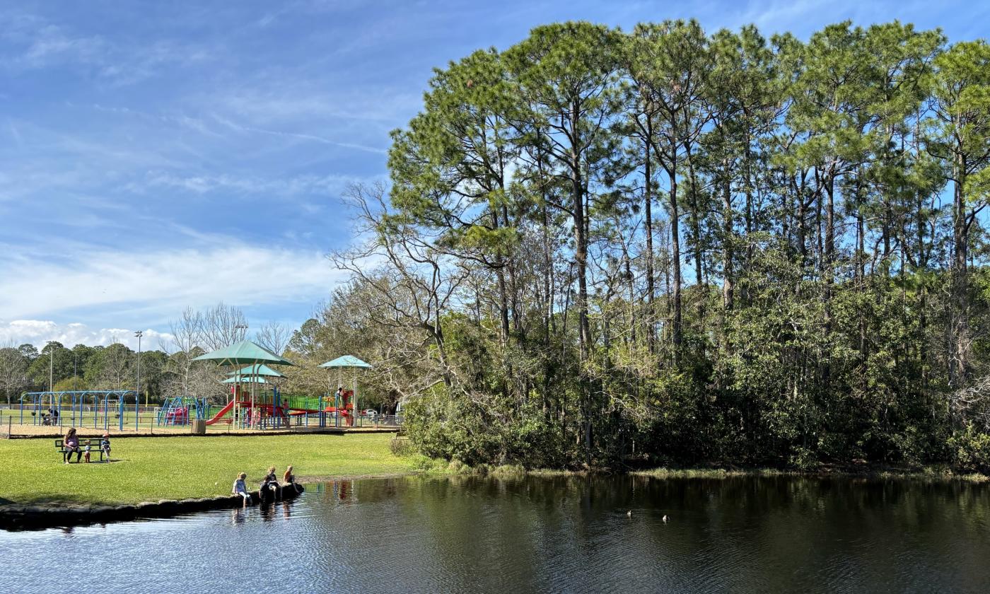 A view of the pond and park from the nature trail/boardwalk