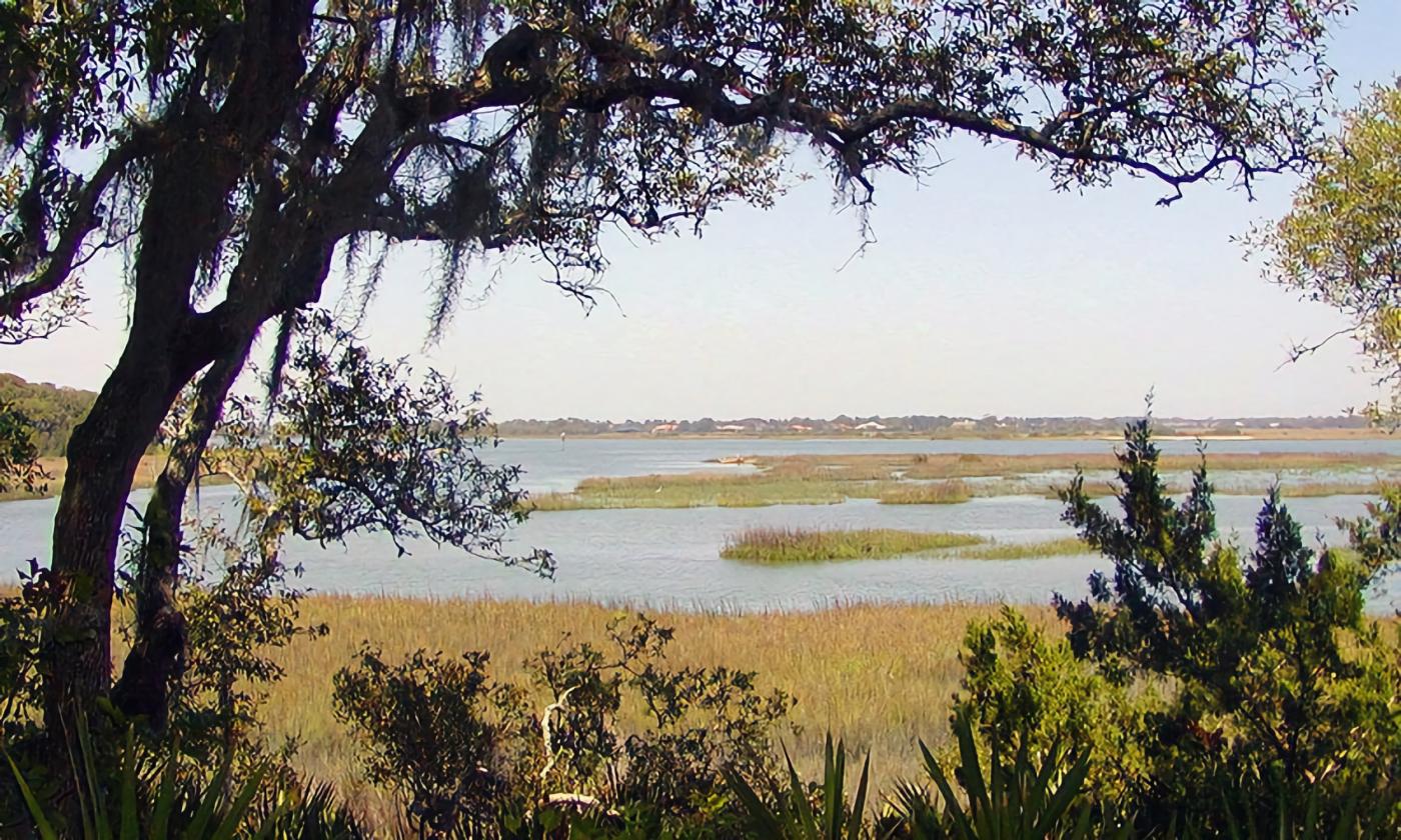 An overlook of the water from the nature trails