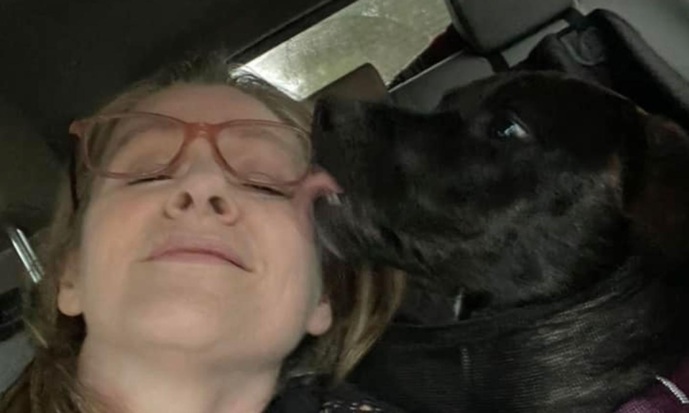 Musician Kim Blackburn's black lab dog licking her glasses off.