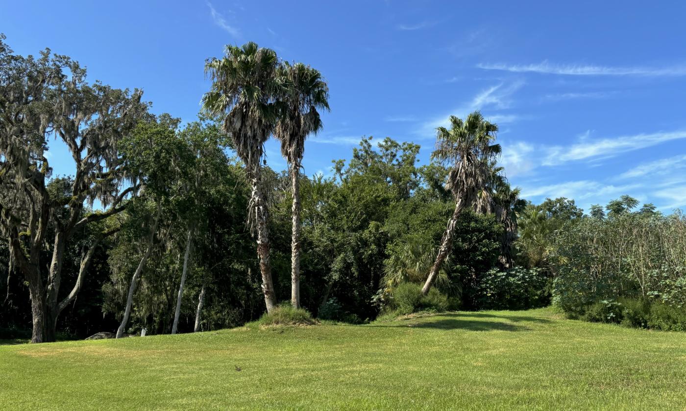 Part of the grounds at The Park