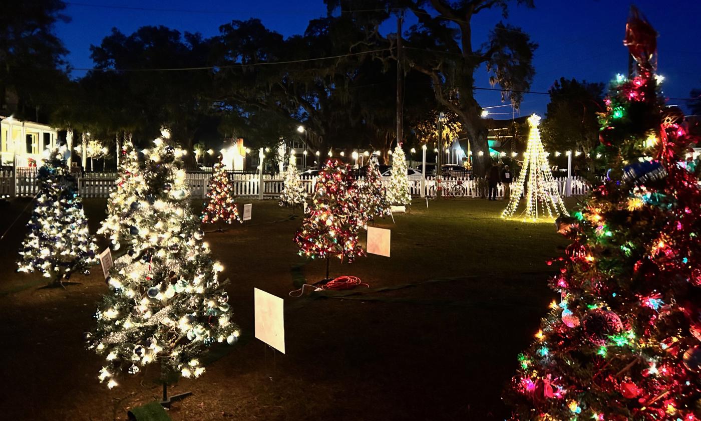 Various decorated Christmas trees at the park