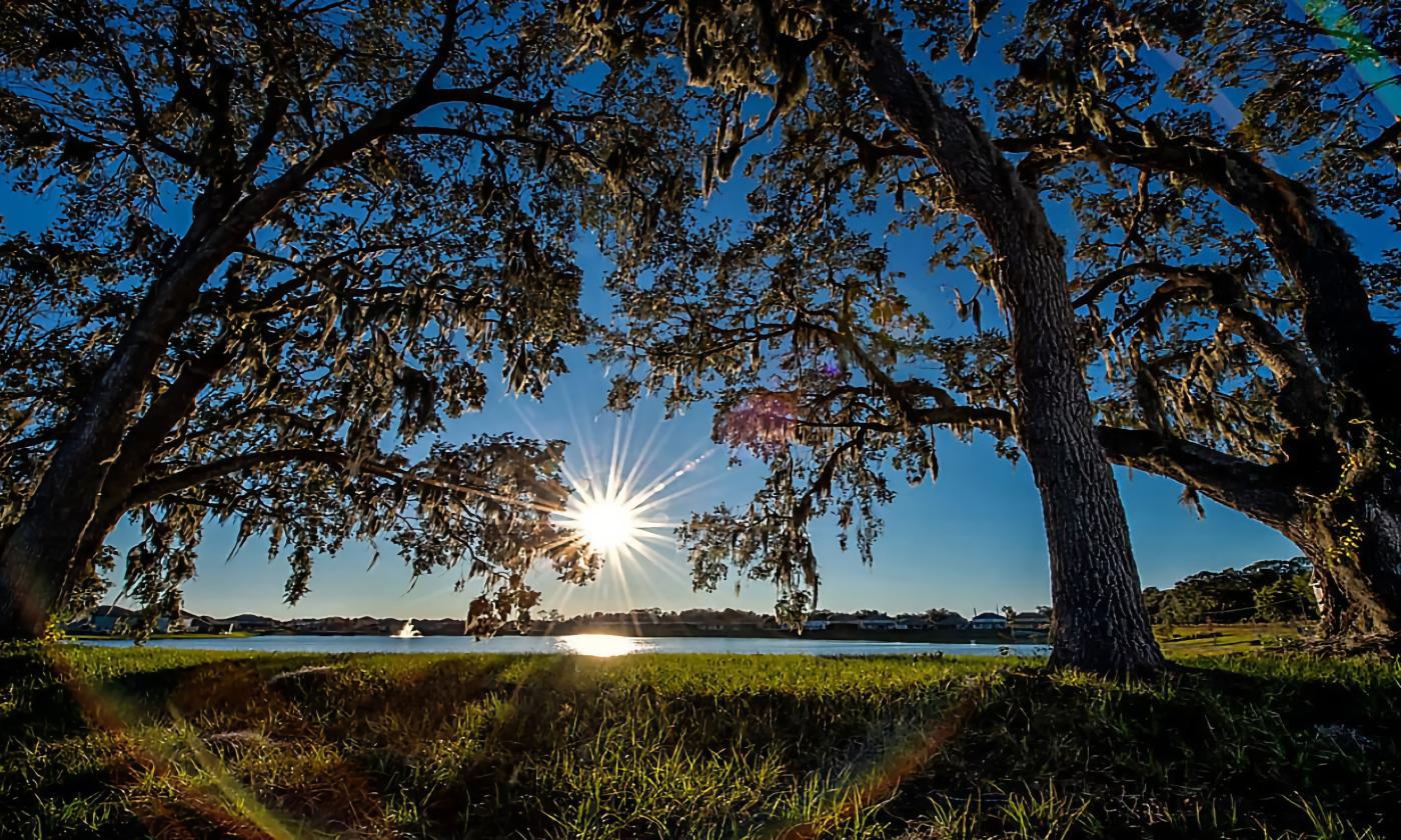 A view from the walking and running trail in Nocatee