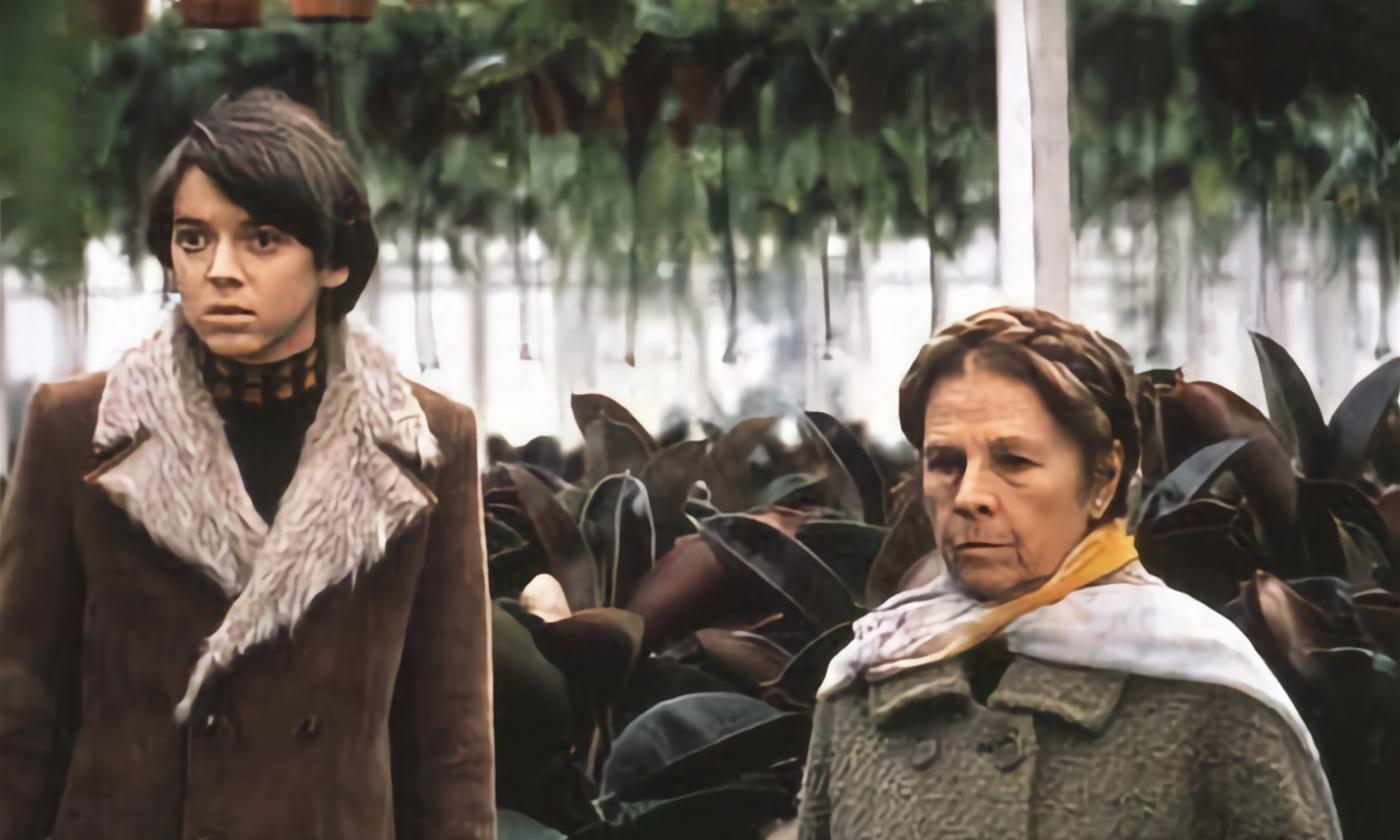 The two main characters in "Harold and Maude"