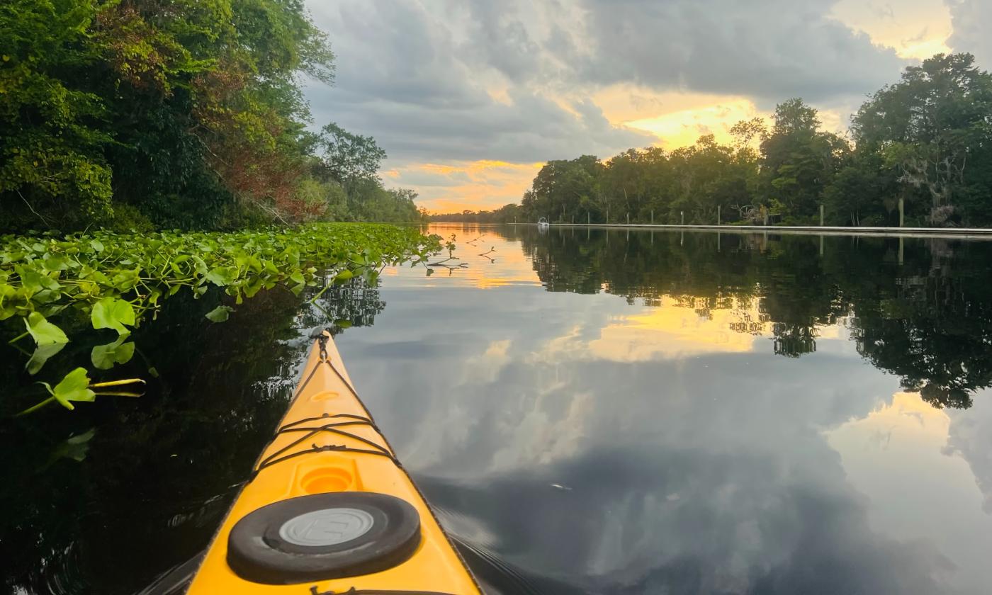 The bow of a yellow kayak, pointed toward water plants and the sunset beyond