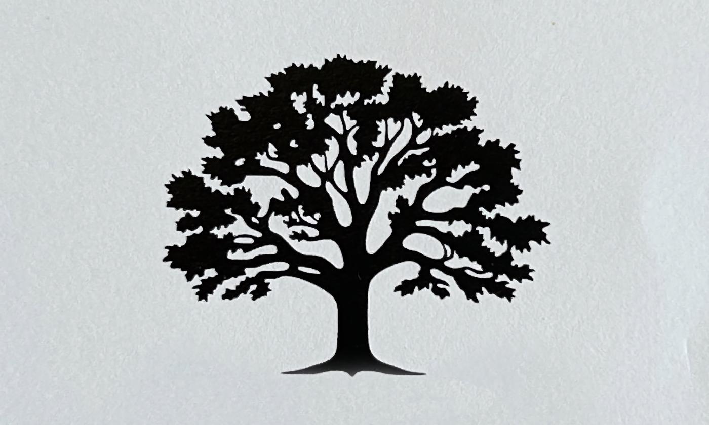 A shadow of a tree