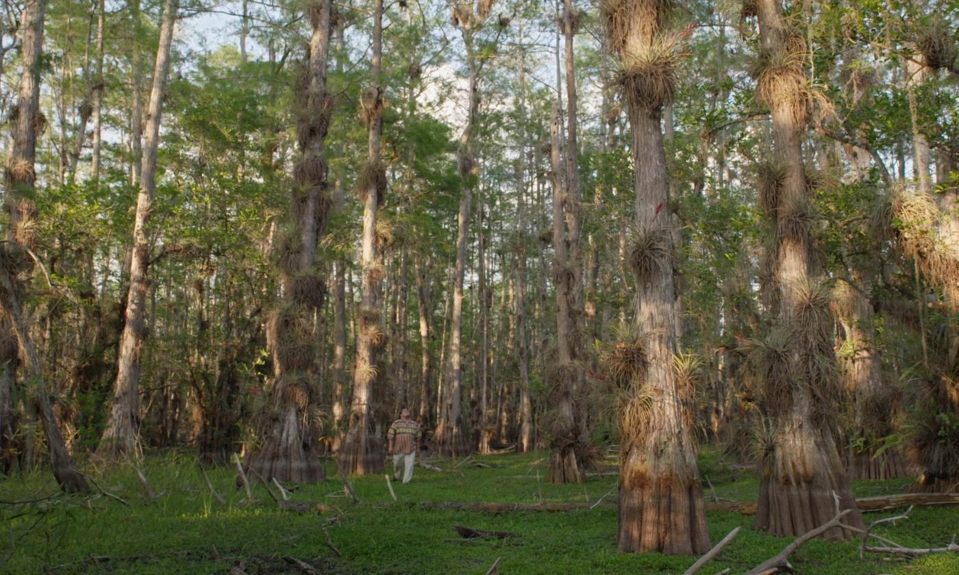 A scene from the film "River of Grass"