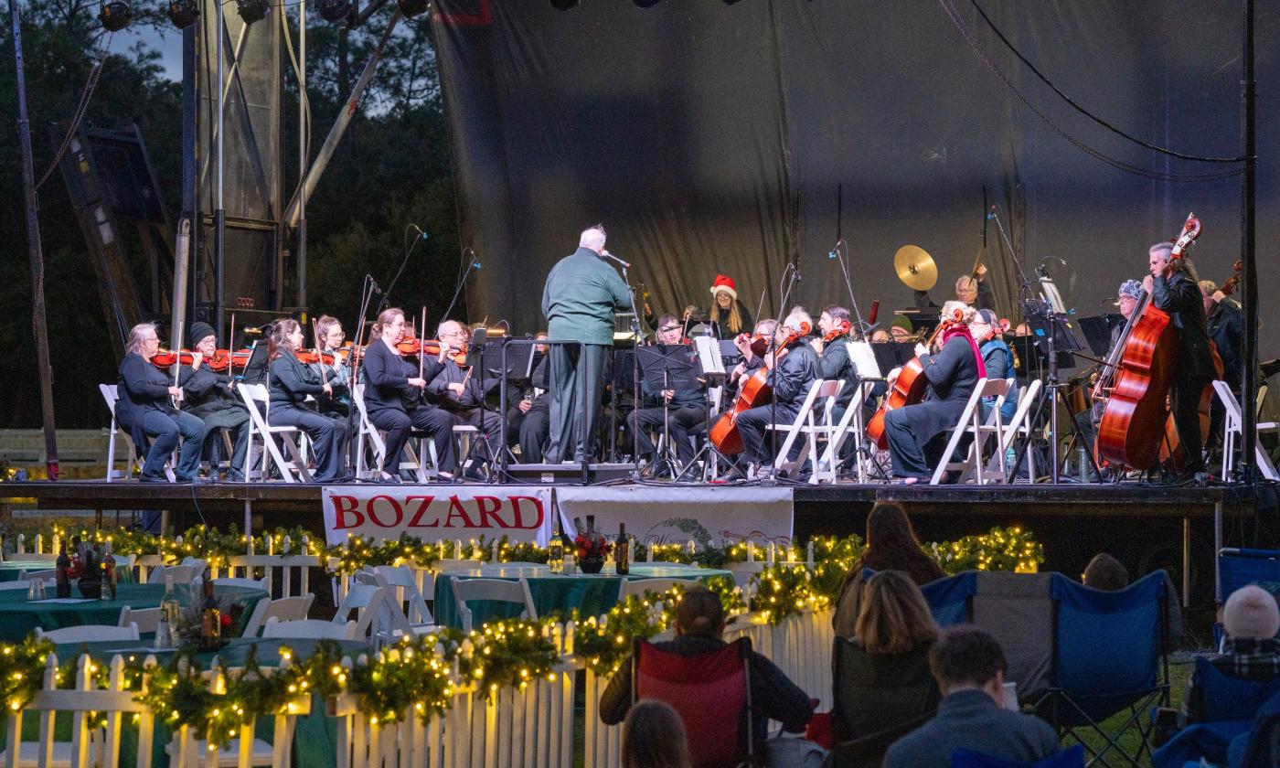 The orchestra at the holiday concert outside
