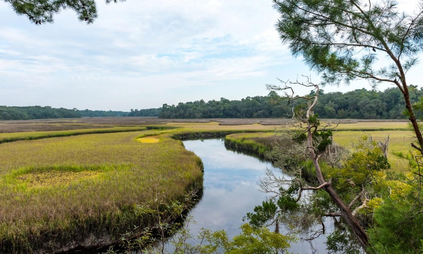 The creek and marsh at Moses Creek Conservation area