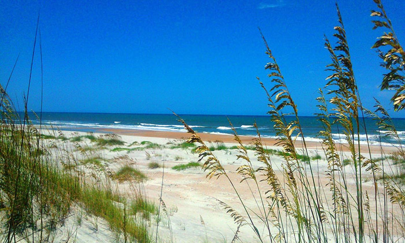 Guests will learn about Anastasia State Park's coastal ecosystem through a guided walk. 