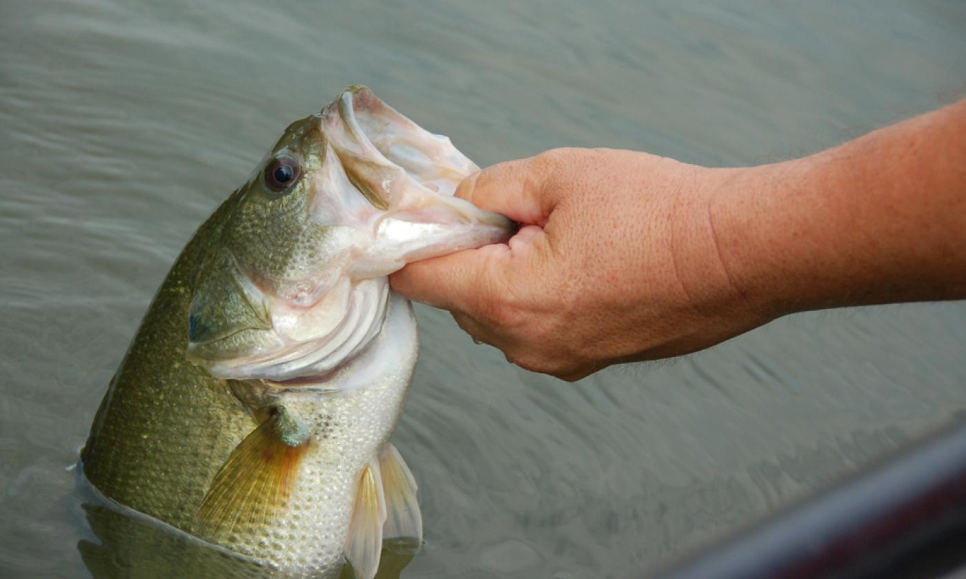 The St. Johns County Parks and Recreation Department offers a series of five free clinics that will explore the basics about freshwater fishing in Florida.