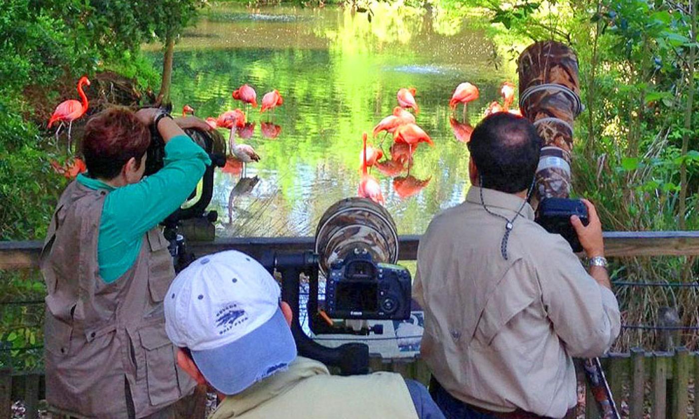 Photographers