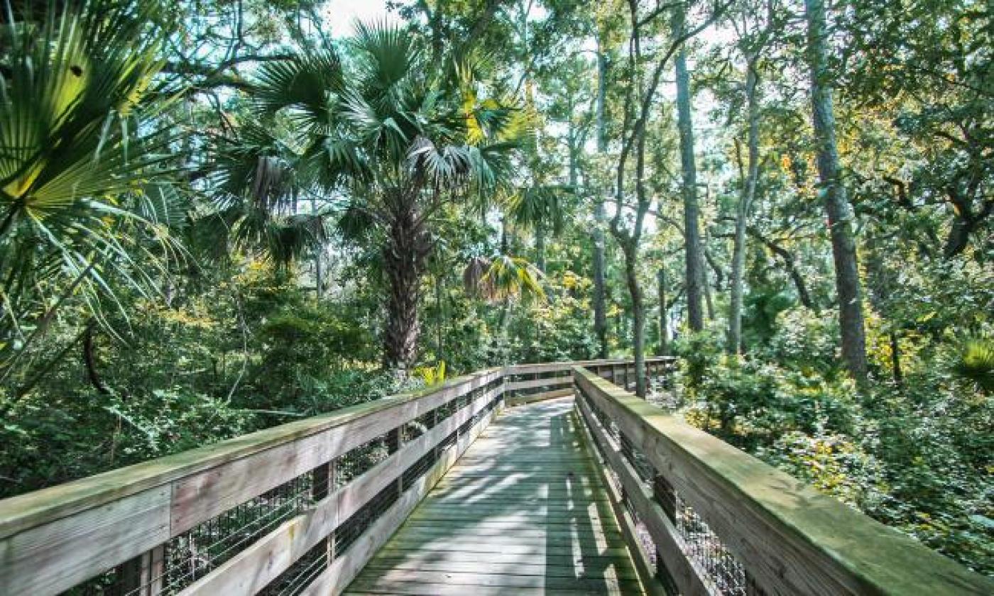 The boardwalk in the Canopy Shores Park in St. Augustine.