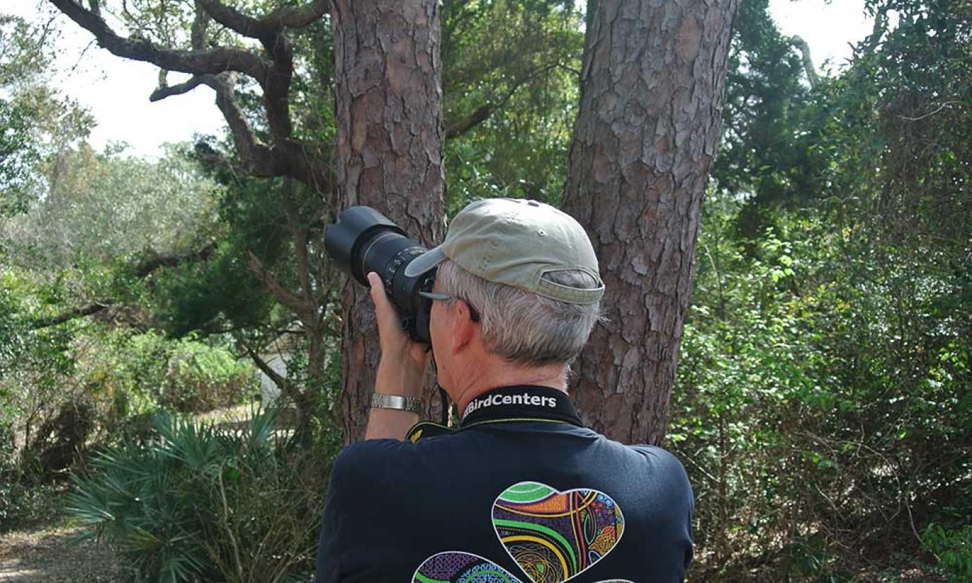 Enjoy a guided birdwalk through the hammocks and marshes of Fort Mose State Park.