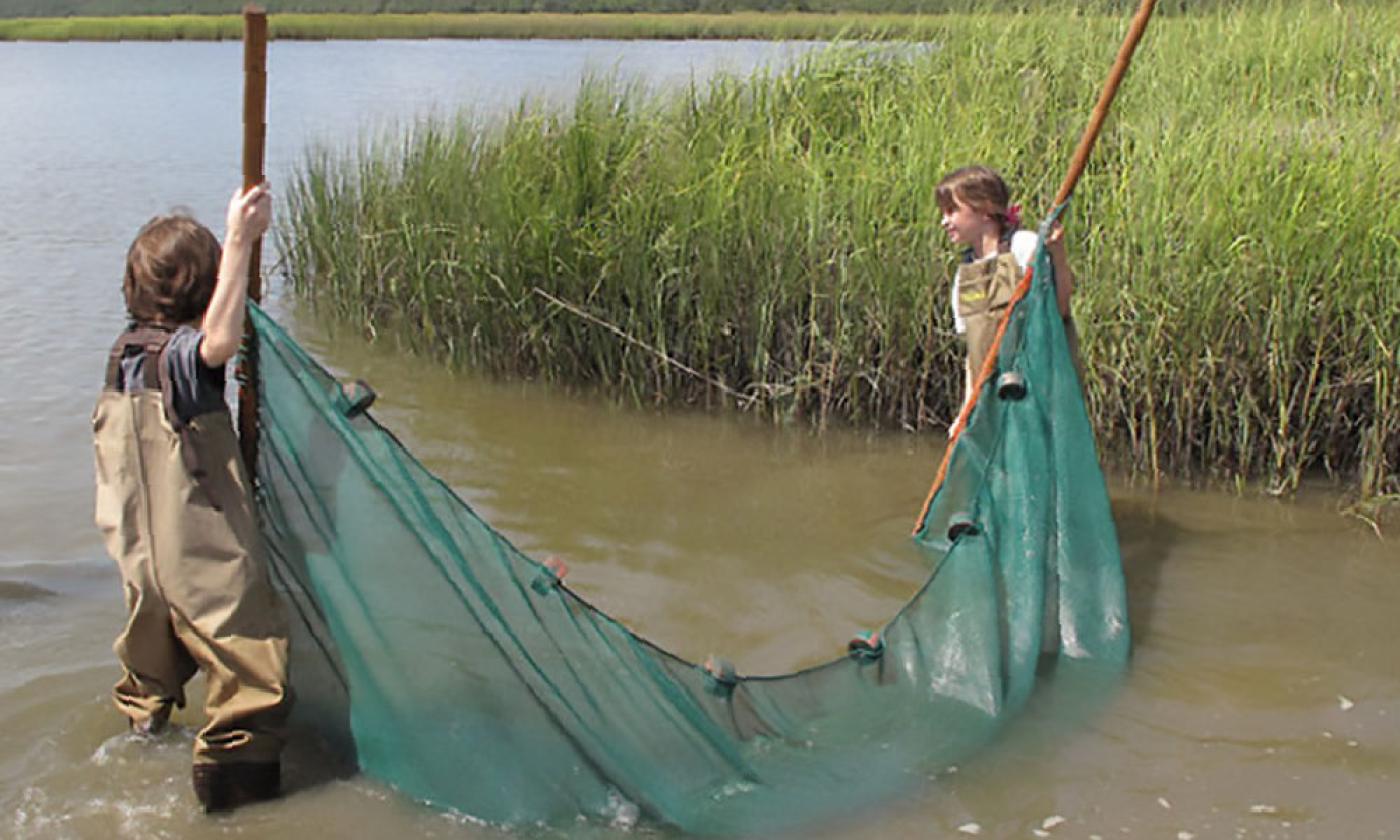 The GTM Research Reserve hosts a family seining event on the second Saturday of each month.