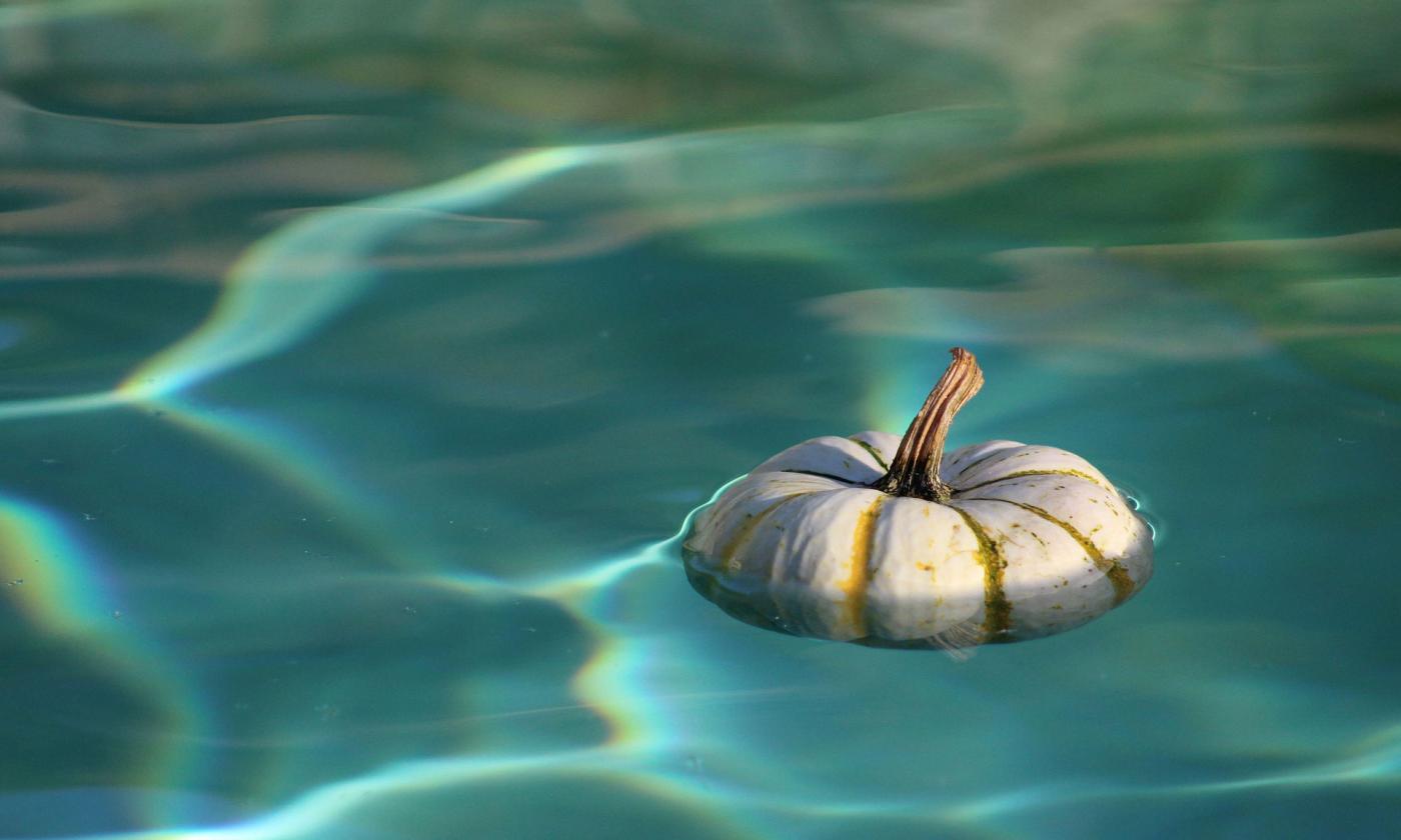 The St. Augustine Aquarium will host an outdoors Halloween event Saturday, Oct. 30, 2021.