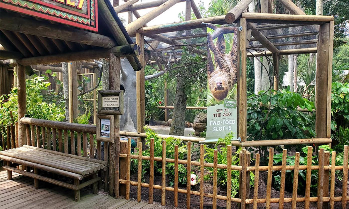 The St. Augustine Alligator Farm opens its new Sloth Exhibit.