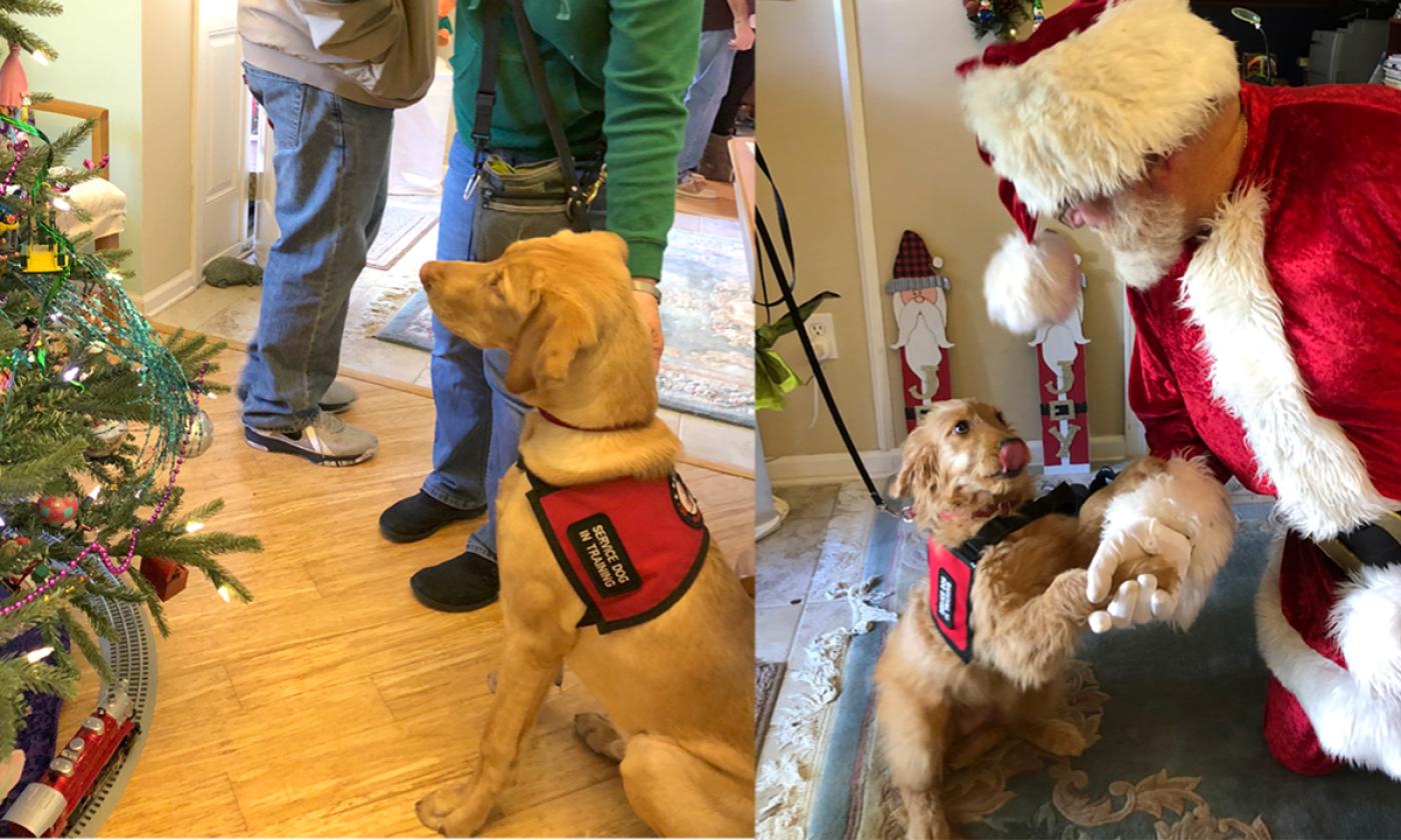 Two of the pups who have visited the K9s For Warriors Holiday Open House Benefit in St. Augustine.