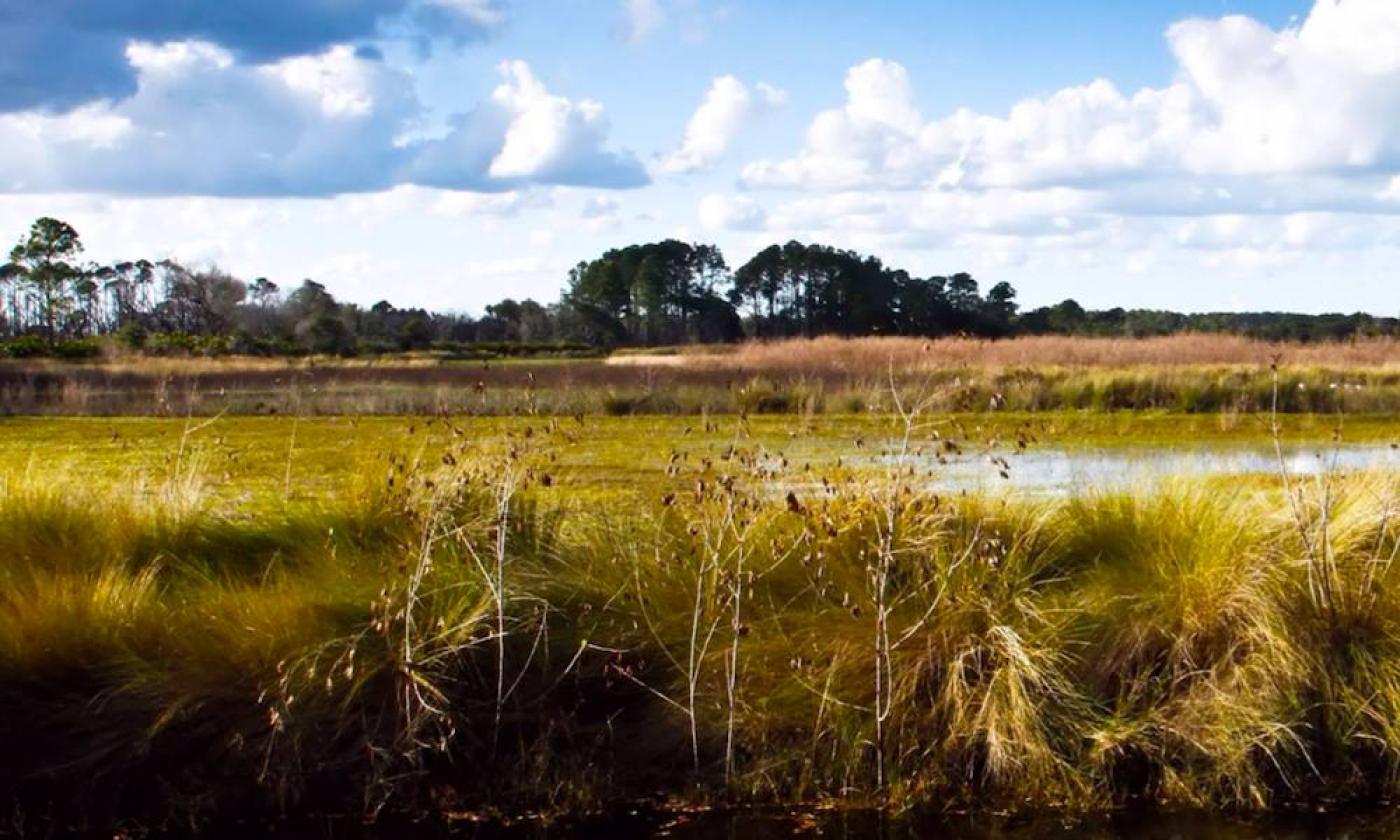 GTM Research Reserve in Ponte Vedra Beach, FL.