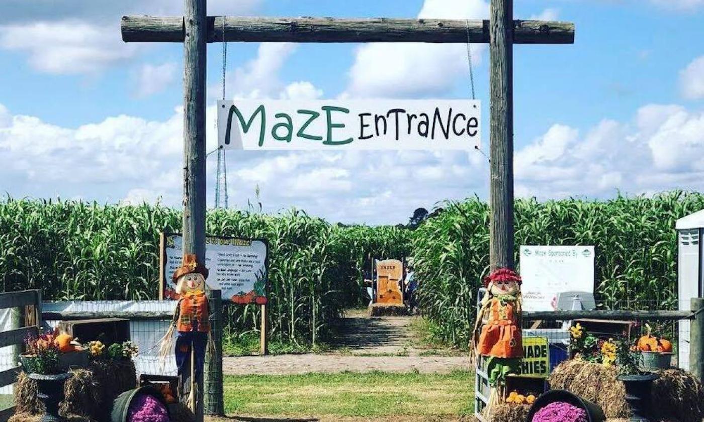 Maze Entrance at Sykes Family Farms in Elkton, Florida