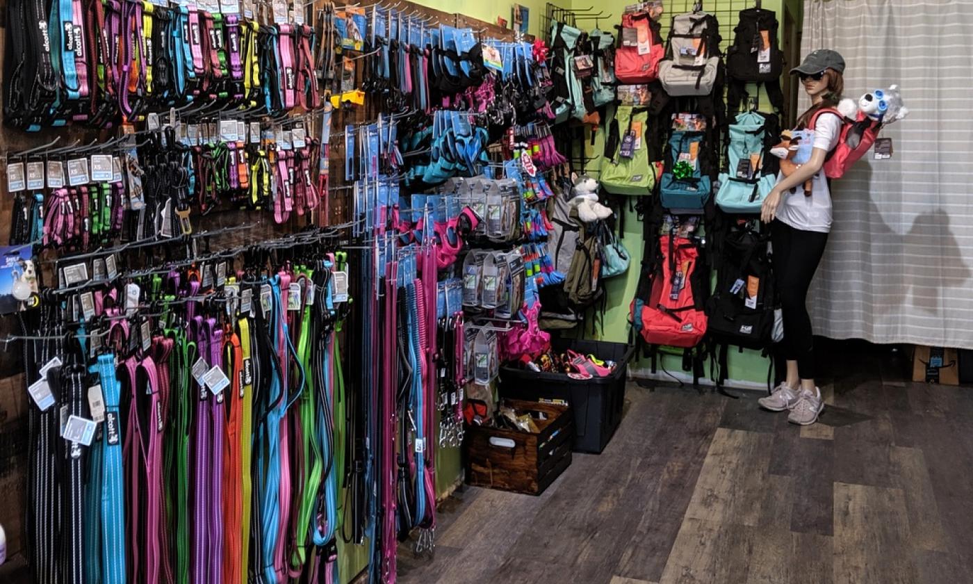 Leashes, harnesses, and carrier packs line the shop's wall