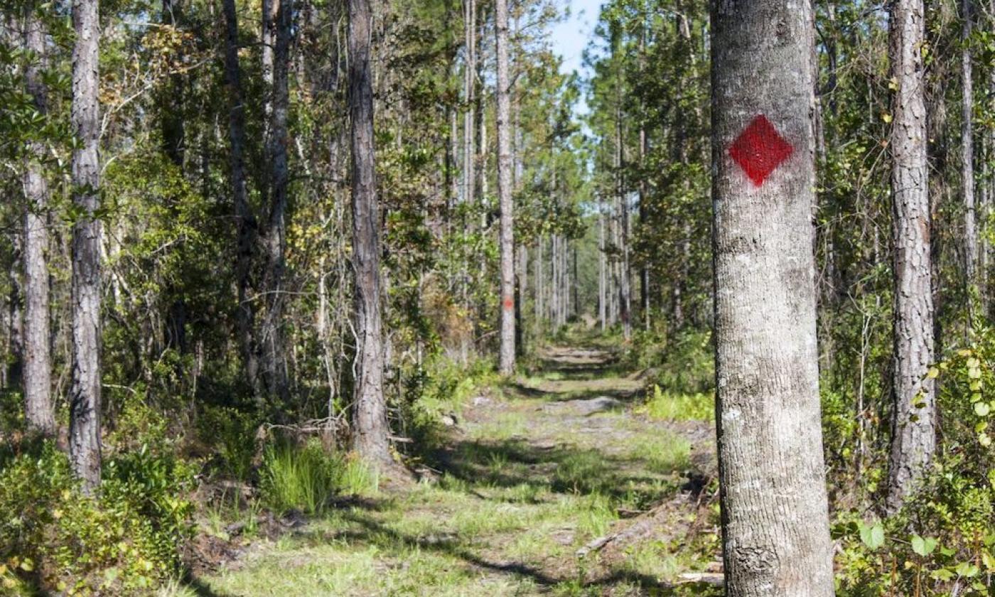 One of Gourd Island's walking trails