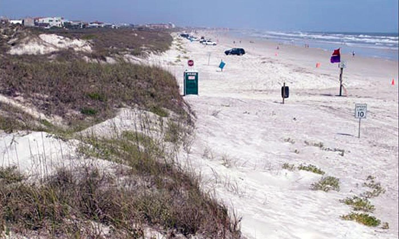 The row of dunes which are home to the endangered gopher tortoise