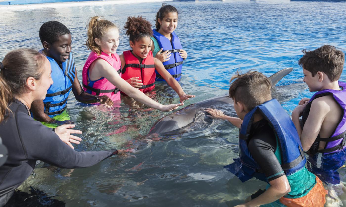 Interacting with the dolphins at Marineland.