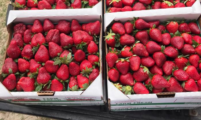 Delicious strawberries at the market
