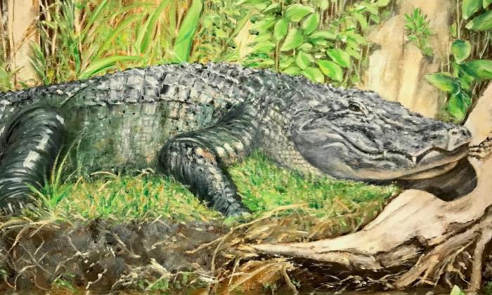 A painting by Marilyn Terry of an alligator in it's natural environment in Florida