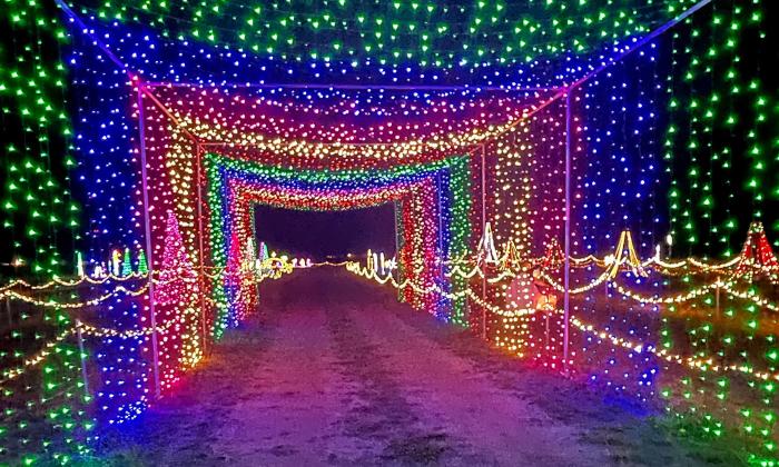 A square tunnel of holiday lights at a Christmas event on a farm