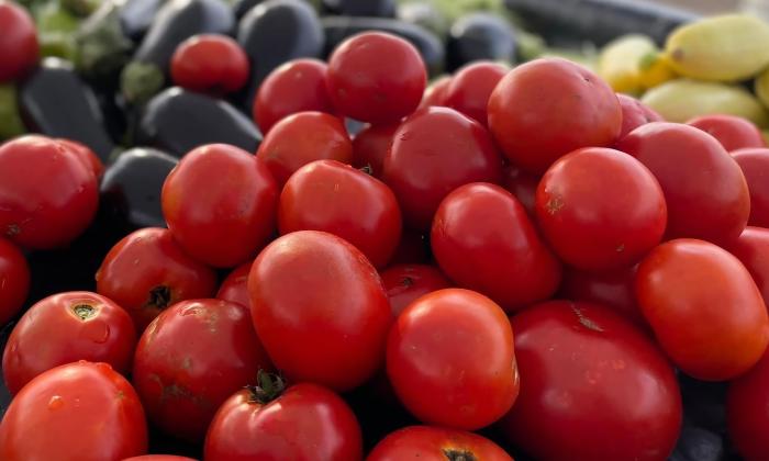 Piles of tomatoes of various colors