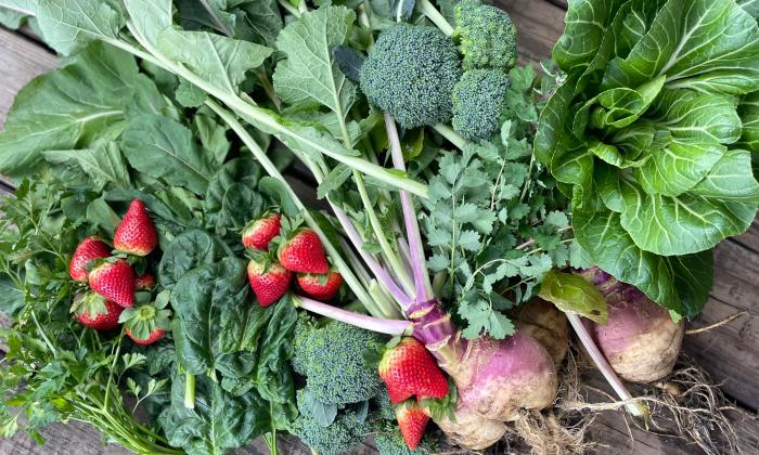 A pile of fresh produce with strawberries, turnip, and broccoli