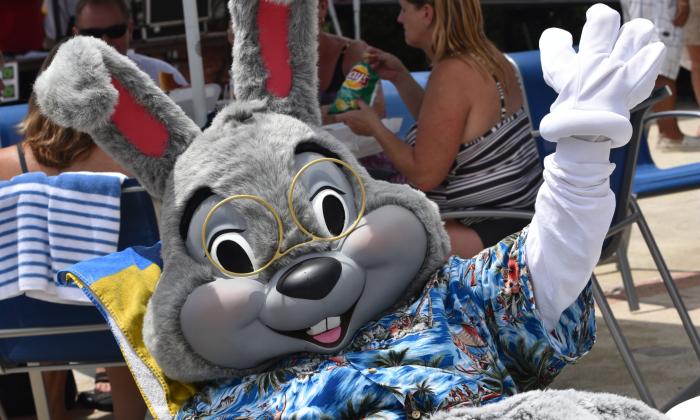 A rabbit character, complete with Hawaiian shirt, lounges poolside at a party at Guy Harvey Resort